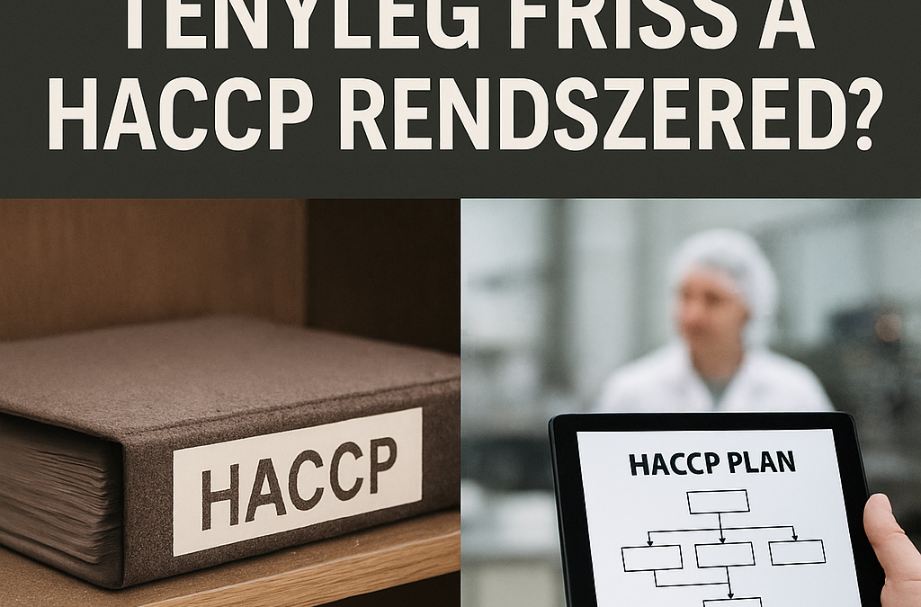 Miért érdemes rendszeresen felülvizsgálni a HACCP rendszert?